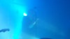 Other photographs 2015-10-14-Sisters-Leeds